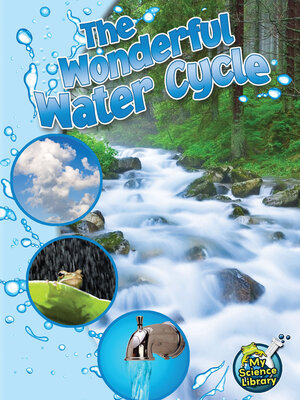 cover image of The Wonderful Water Cycle